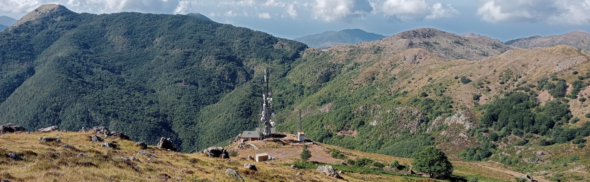 Servizi internet e connettività